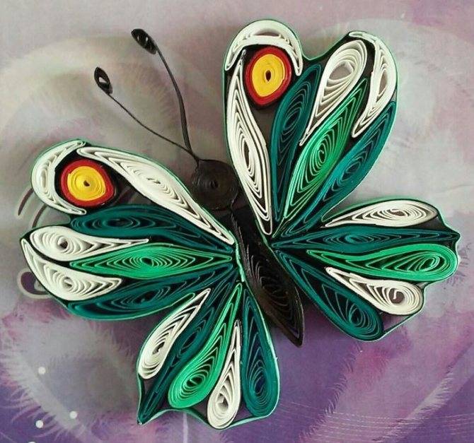 Квиллинг бабочка: мастер класс и схемы для новичков