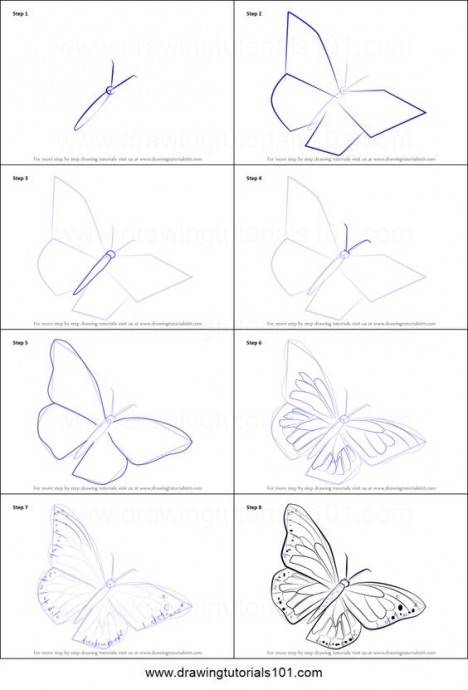 Как разукрасить бабочку карандашами цветными. как нарисовать бабочку: поэтапно карандашом.
