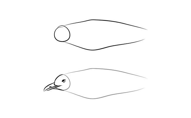 Как нарисовать ворону в полете и в полный рост: рисунок карандашом и красками с описанием