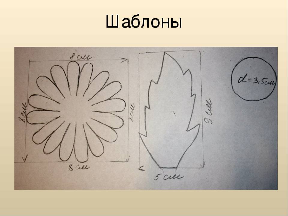 Шаблон хризантемы