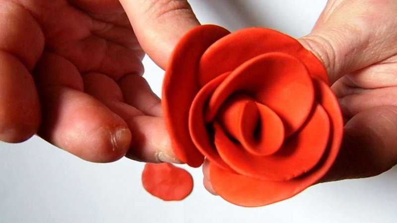 Цветы из пластилина. как сделать из пластилина цветы?
