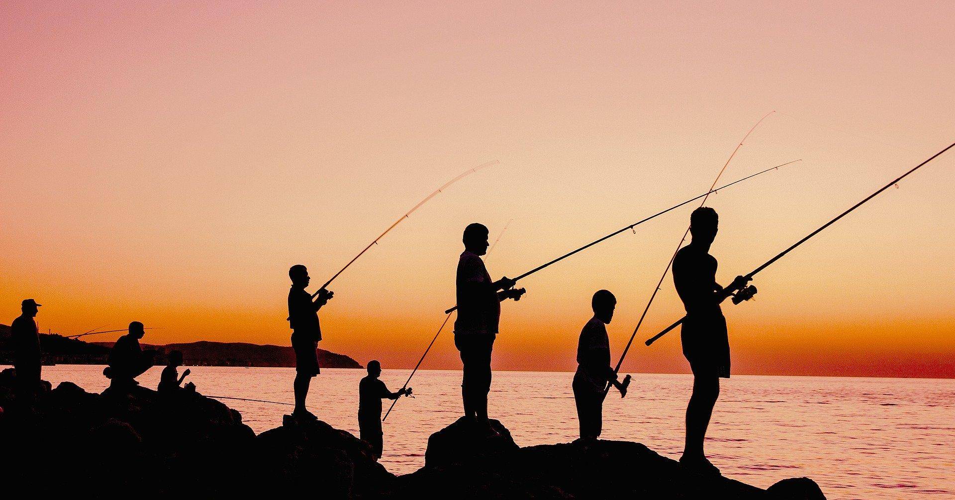 Спортивная рыбалка: правила рыболовного спорта. как стать рыболовом-спортсменом? способ спортивной ловли рыбы