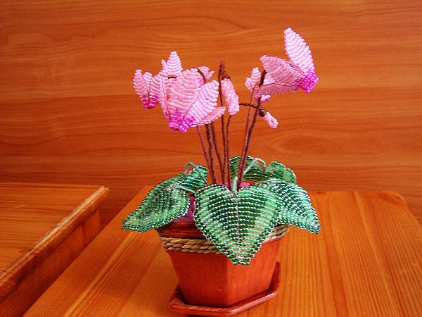 Плетение экзотического комнатного растения цикламен из бисера