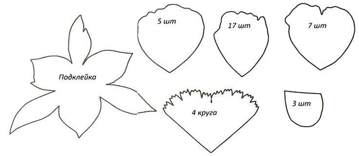 Схема пиона из фоамирана мастер класс