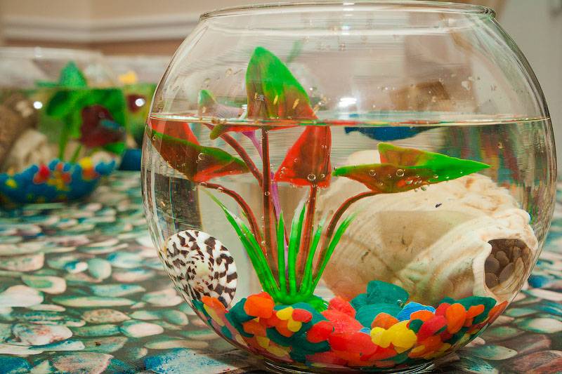 Как сделать аквариум своими руками пошагово: в домашних условиях из стекла, советы, выбор материалов, фото, инструкция по изготовлению