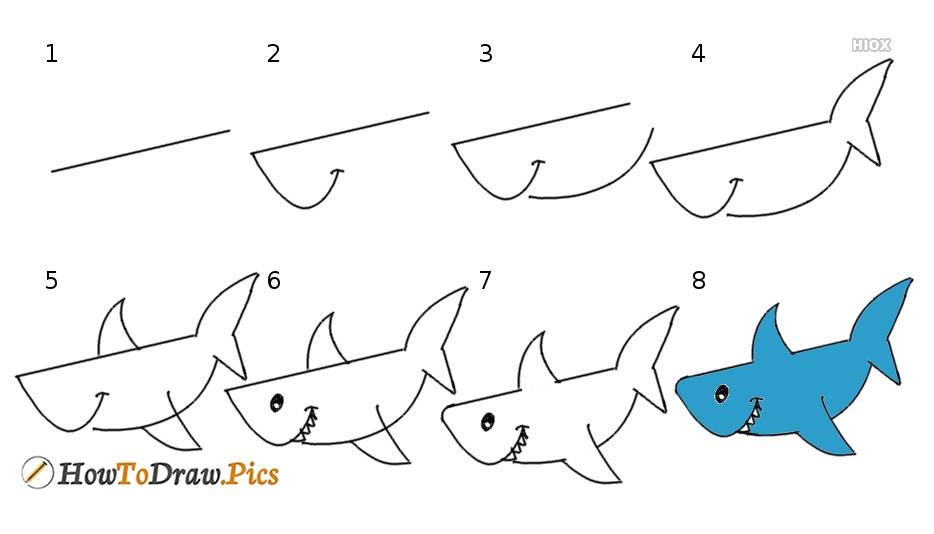 Как нарисовать акулу  поэтапно 10 уроков