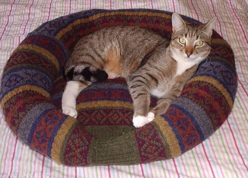 Лежанка из свитера для кота своими руками