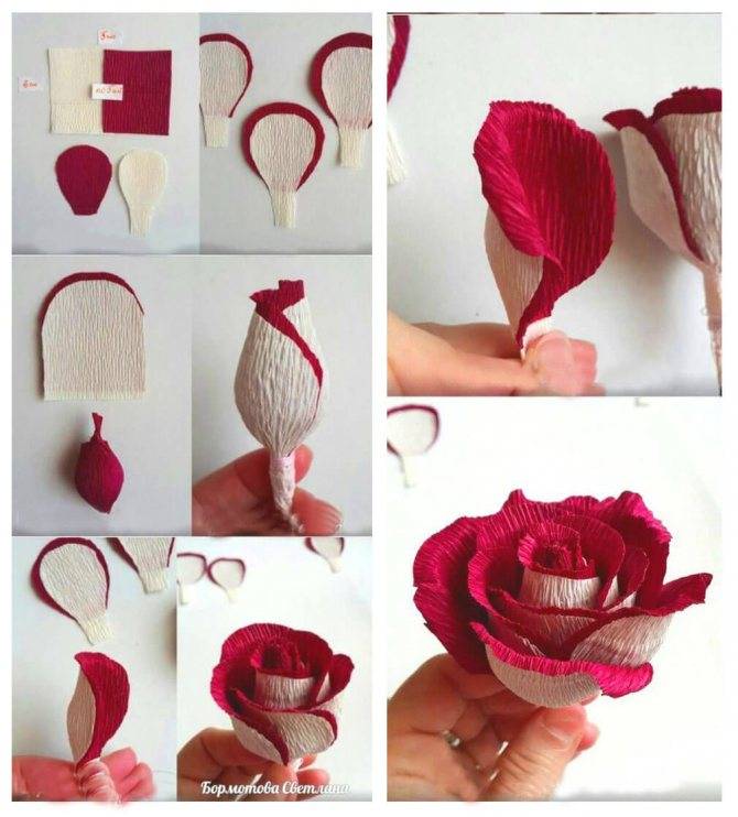 Как сделать розу из бумаги своими руками? 6 мастер-классов