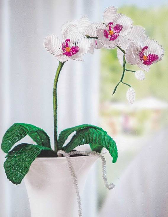 Флористика искусственная день рождения бисероплетение орхидея из бисера бисер бусины гипс цемент проволока