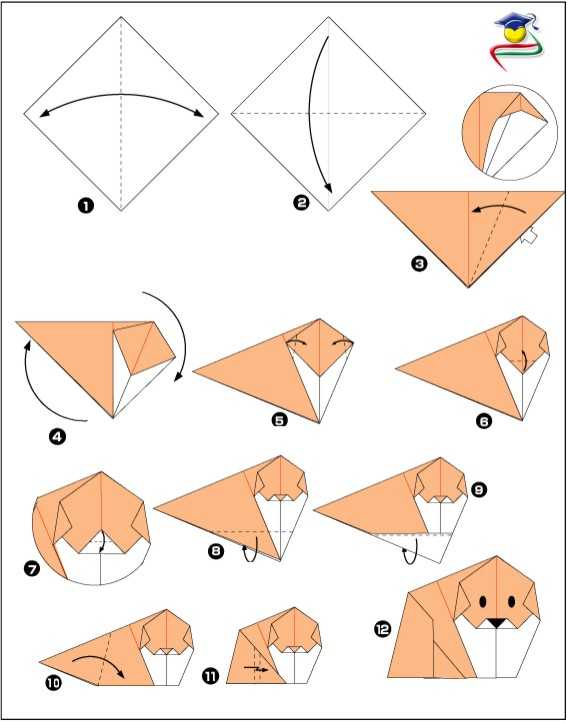 Как сделать оригами из бумаги - лучшие идеи для новичков и новые идеи для мастеров