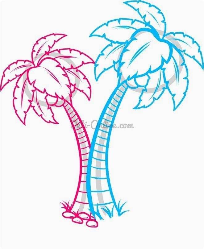 Нарисовать 3 пальмы. нарисовать пальму поэтапно, как нарисовать пальму карандашом