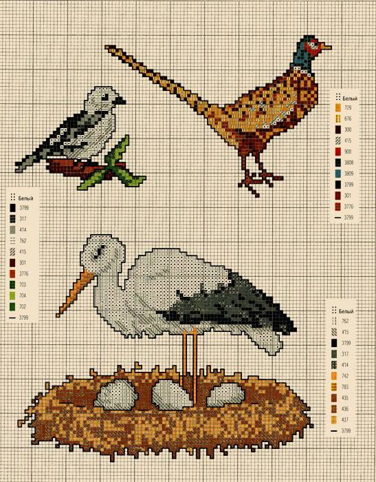 Вышивка крестом птицы по схемам и видео обзор набора
