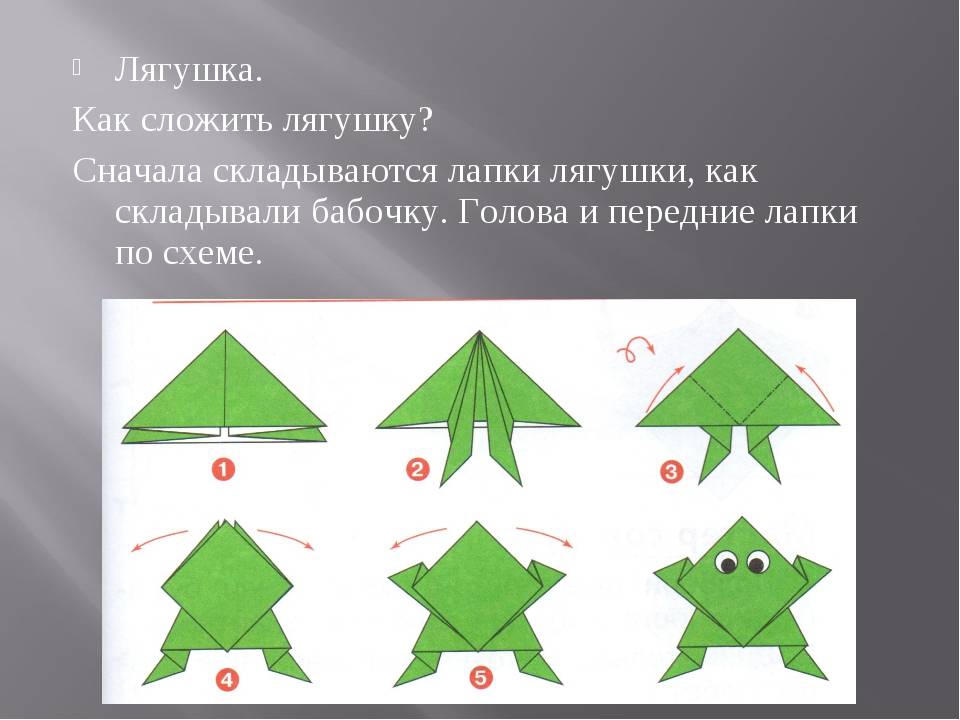 Как сложить оригами «прыгающая лягушка» своими руками? смотрите инструкцию и мастер-класс с подробным описанием и фото!