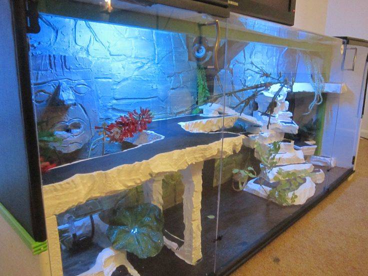 Как сделать аквариум из оргстекла в домашних условиях
как сделать аквариум из оргстекла в домашних условиях