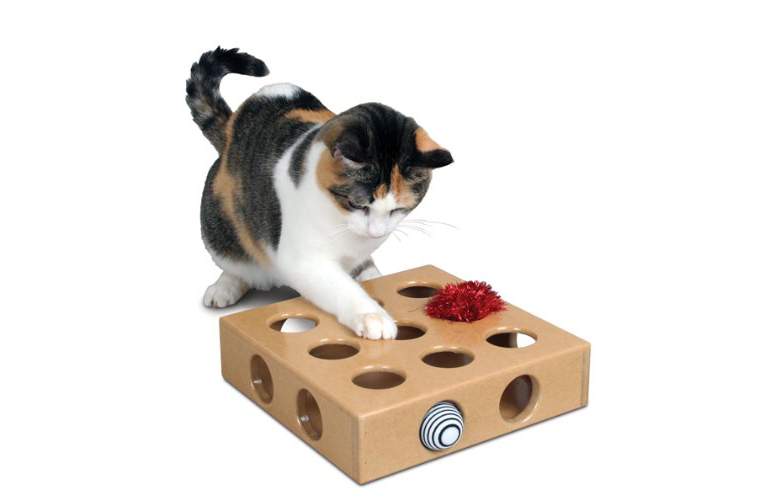 Игрушки для кошек своими руками: от самых простых до интерактивных