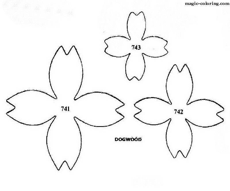 Цветы из фоамирана. как сделать цветы из фоамирана + схемы, шаблоны