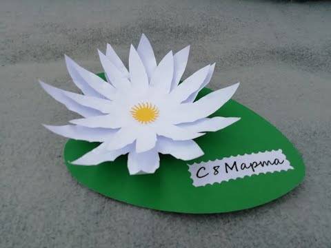 Изготовление цветов: как сделать из бумаги кувшинку :: syl.ru