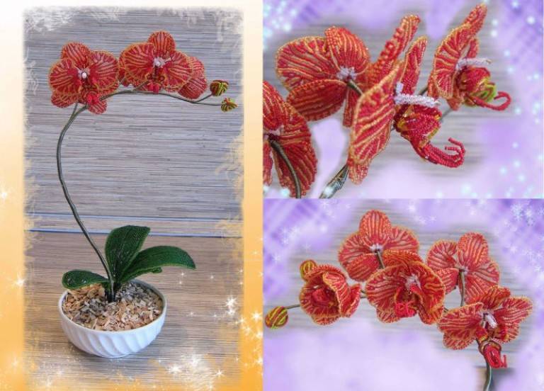 Французское и мозаичное плетение орхидеи из бисера