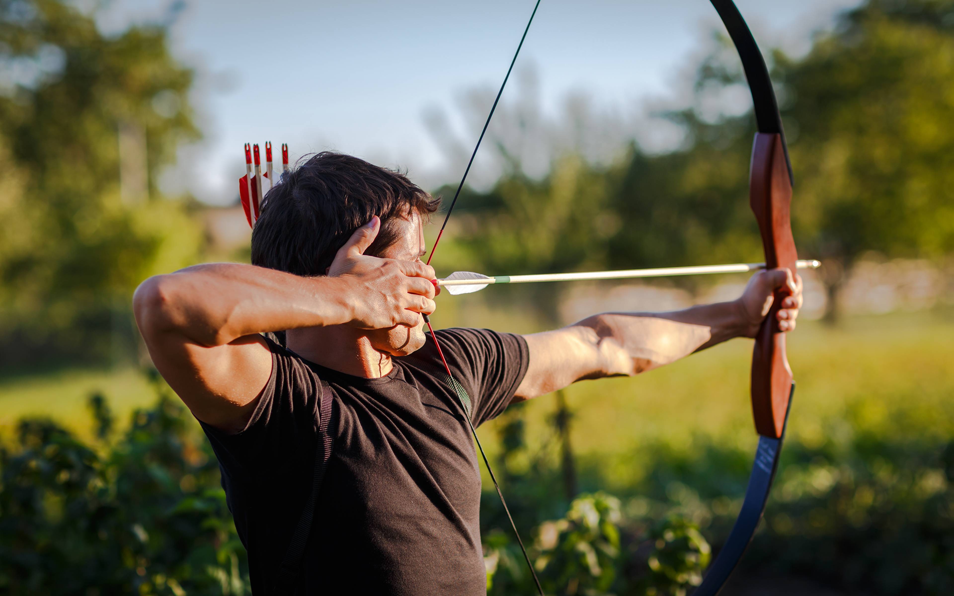 Archery стрельба из лука