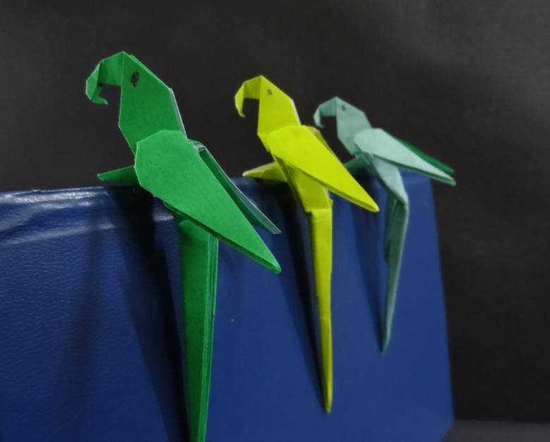Оригами попугай: поэтапная инструкция для начинающих создания попугаев из бумаги
