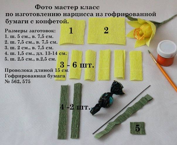 Свойства креповой бумаги способы получения объемных форм. Нарциссы из гофрированной бумаги своими руками пошаговое. Нарциссы из гофрированной бумаги своими руками пошаговая инструкция. Нарцисс из гофрированной бумаги пошагово мастер класс с размерами. 3 Класс технология изготовления нарцисса из креповой бумаги.