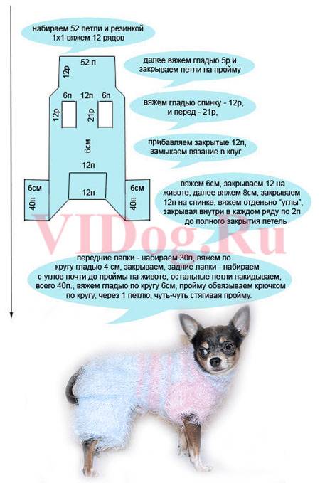 Одежка для маленькой собаки с описанием - вязание - страна мам