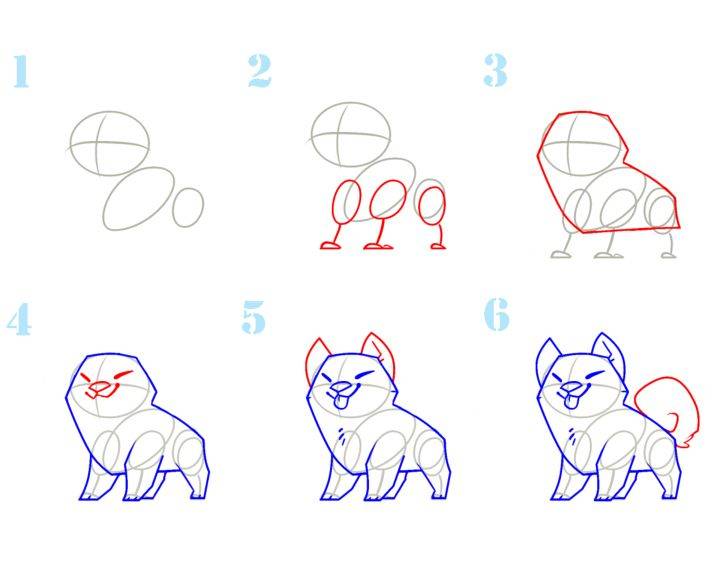 Как нарисовать собаку ребенку  поэтапно 10 уроков