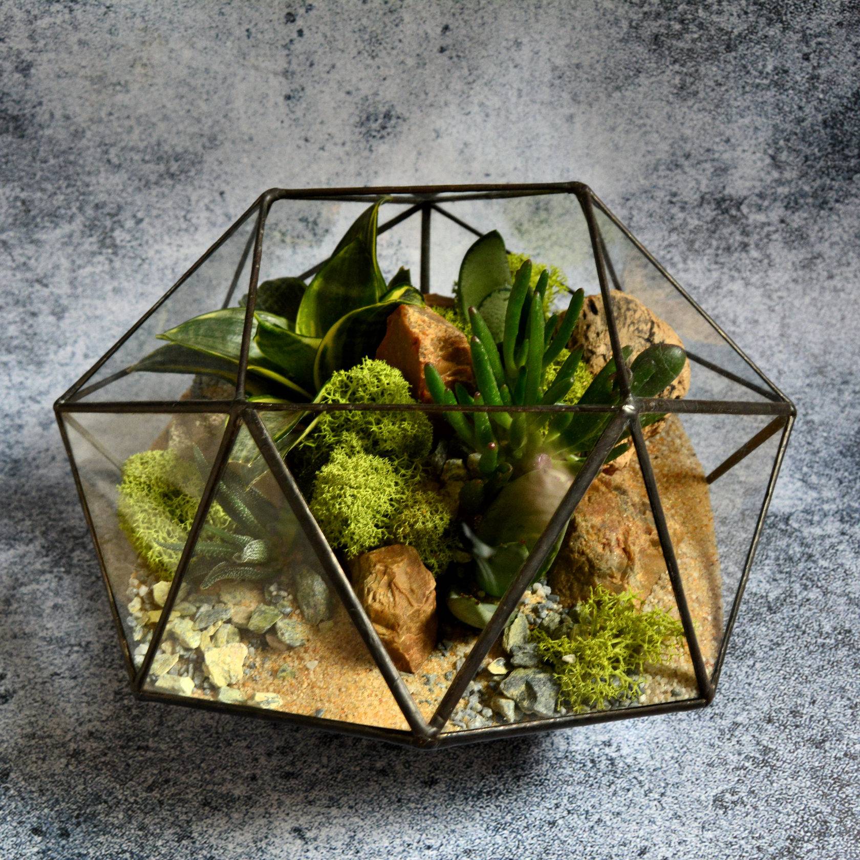 Флорариум с суккулентами (33 фото): как посадить цветы в аквариум из стекла? как сделать садик из суккулентов в стеклянной вазе своими руками?