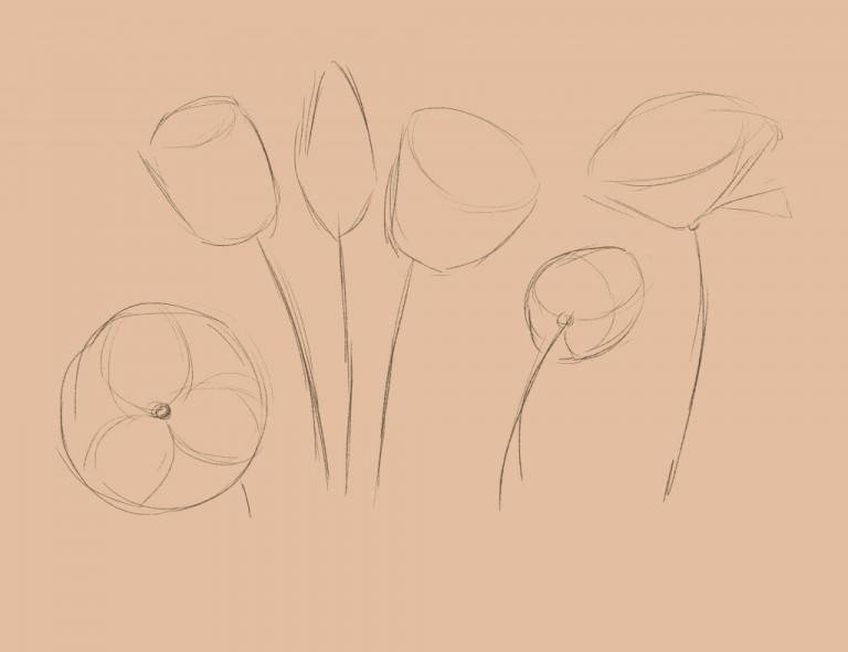 Как нарисовать тюльпаны — тюльпан или букет