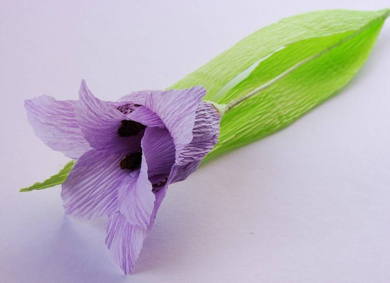 Цветок из бумаги лилия. своими руками, инструкции, мастер классы + 250 фото