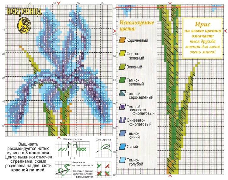 Ирисы спицами схема