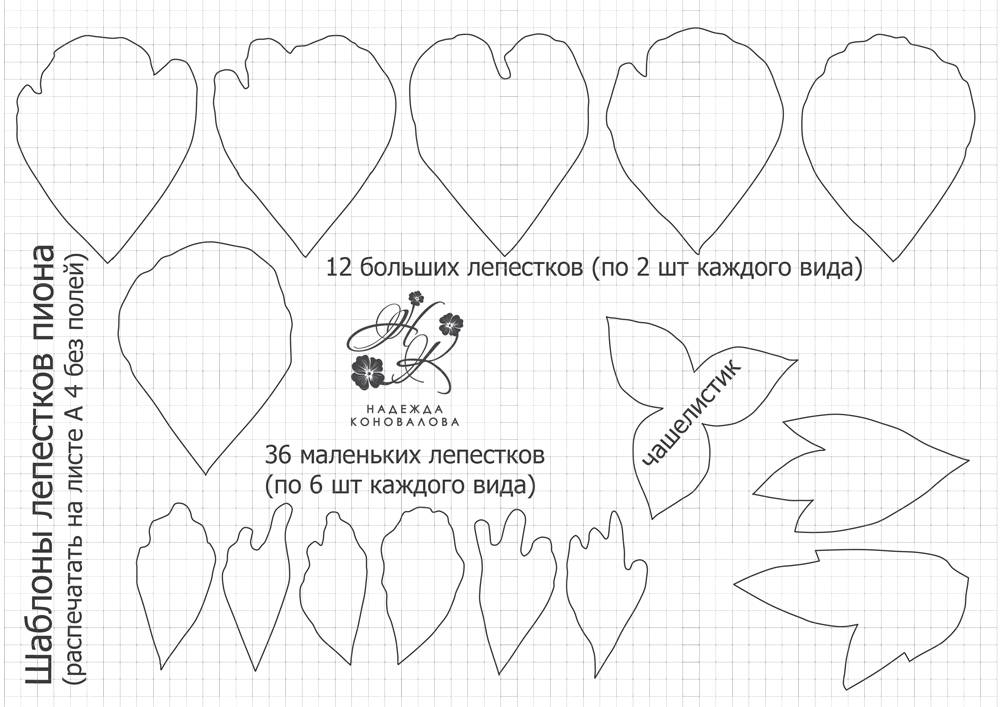 Как сделать пион из фоамирана: мастер-класс :: syl.ru