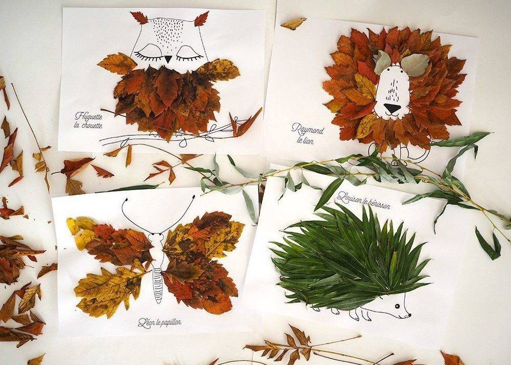 Гербарий из листьев своими руками: как правильно выбрать материал и составить композицию