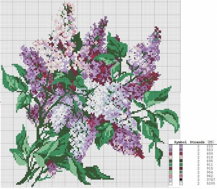 Схема вышивки сирени