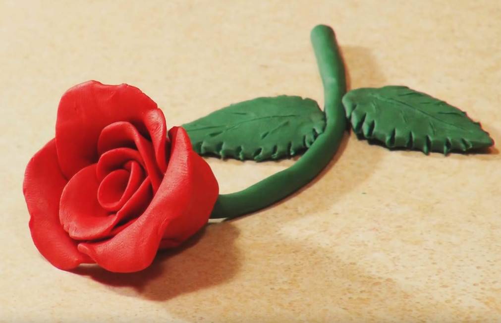 Как сделать розу из пластилина своими руками: красивую розу поэтапно на картоне