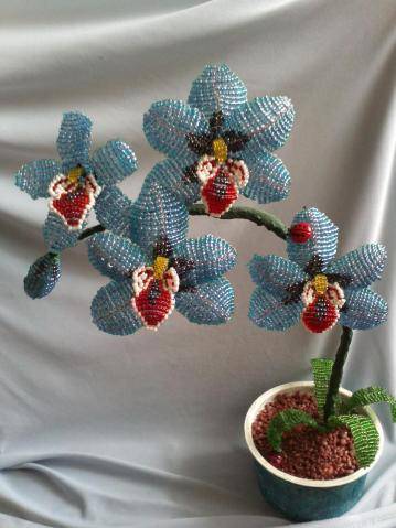 Красивая орхидея из бисера, схема плетения. как сделать орхидею из бисера, мастер-класс, фото, видео