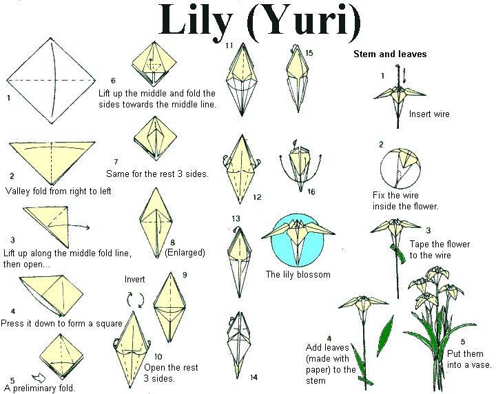 Лилия из бумаги поэтапно своими руками: мастер-класс по созданию красивых цветов, фото, схемы. как сделать лилию. советы по изготовлению. оригами лилия. изготовление лилий из фоамирана