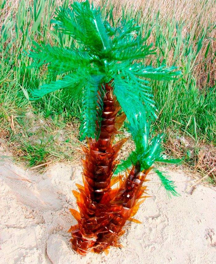 Пальма из пластиковых бутылок: 85 фото подробного описания создания пальмы