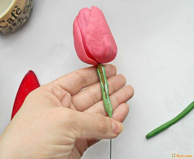 Тюльпаны из полимерной глины, холодного фарфора. работа над ошибками - прошел год )))) | страна мастеров