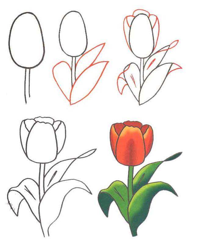 Как нарисовать открытку пошагово: легкая инструкция создания открытки на 8 марта, 23 февраля и день рождения