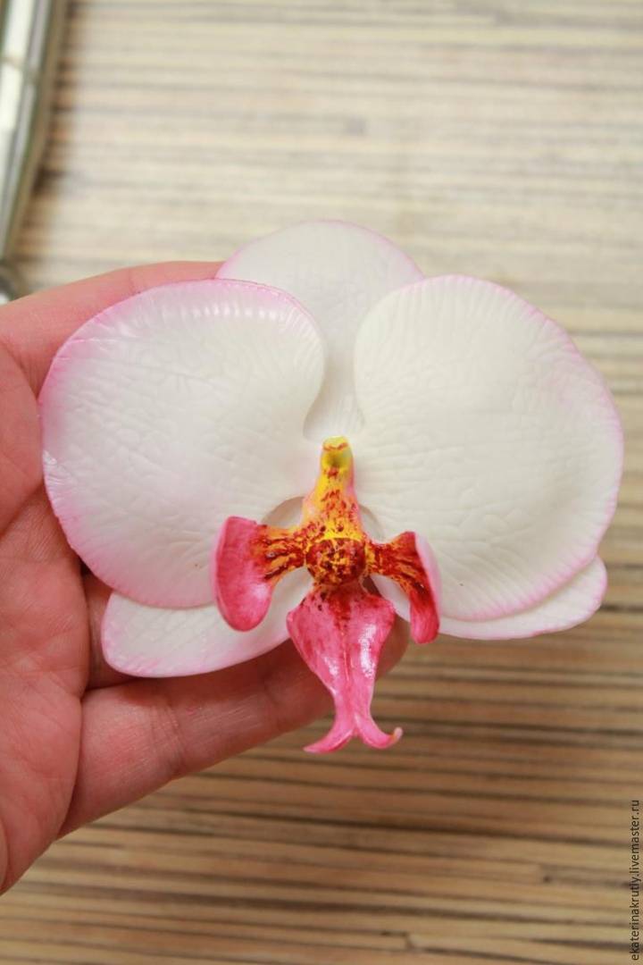 Клеточки на орхидеи ванда из полимерной глины. мастер-класс: орхидеи из холодного фарфора. инструменты для лепки