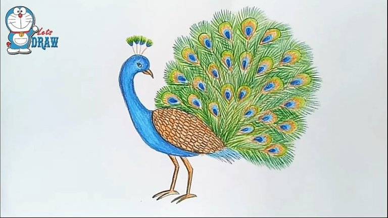 Как нарисовать орла: пошагово, легко и красиво. инструкция для начинающих рисования орла карандашом (115 картинок)