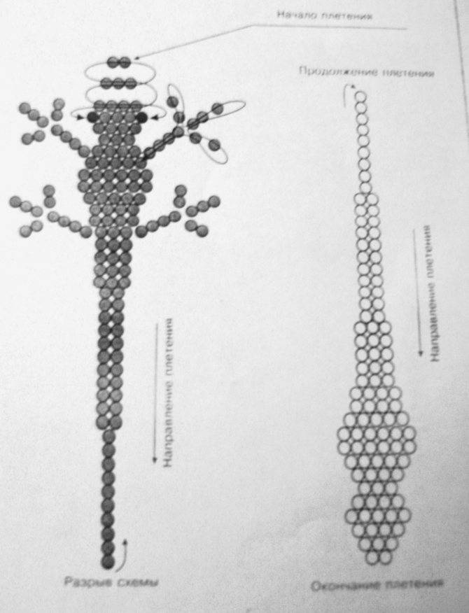 Ящерица бисером схема