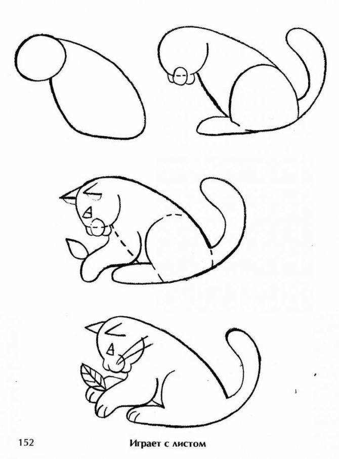 Как нарисовать кошку — легкие мастер-классы с инструкцией для детей и начинающих художников