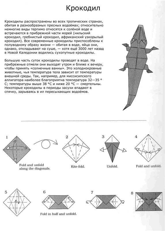 Оригами крокодил схема для детей простая
