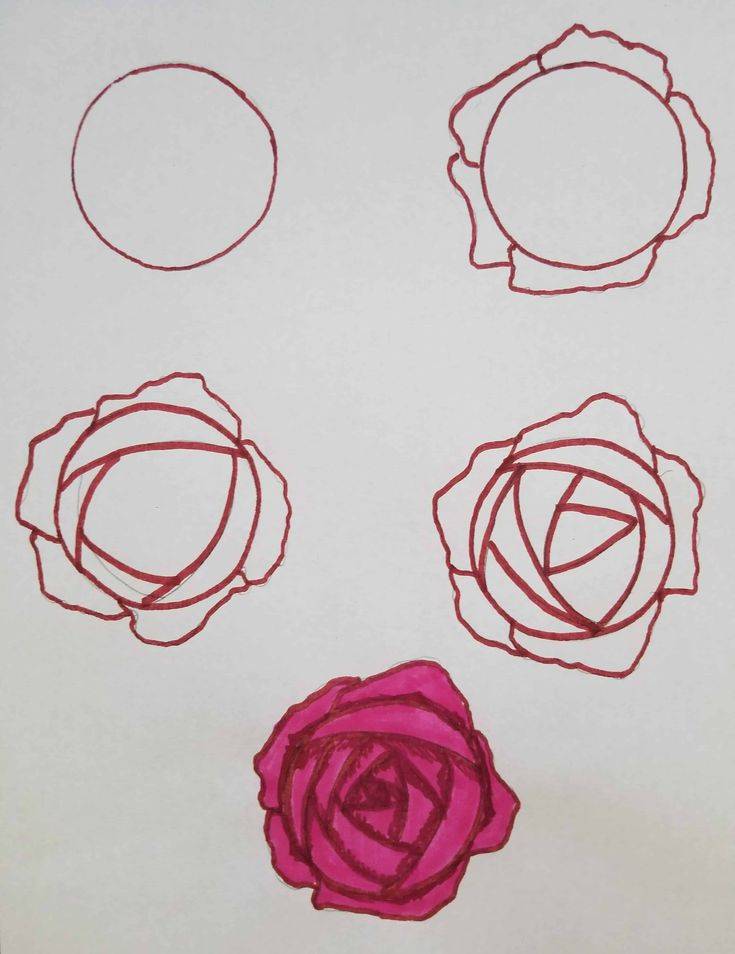Легко и просто рисуем карандашами розу: пошаговая инструкция
