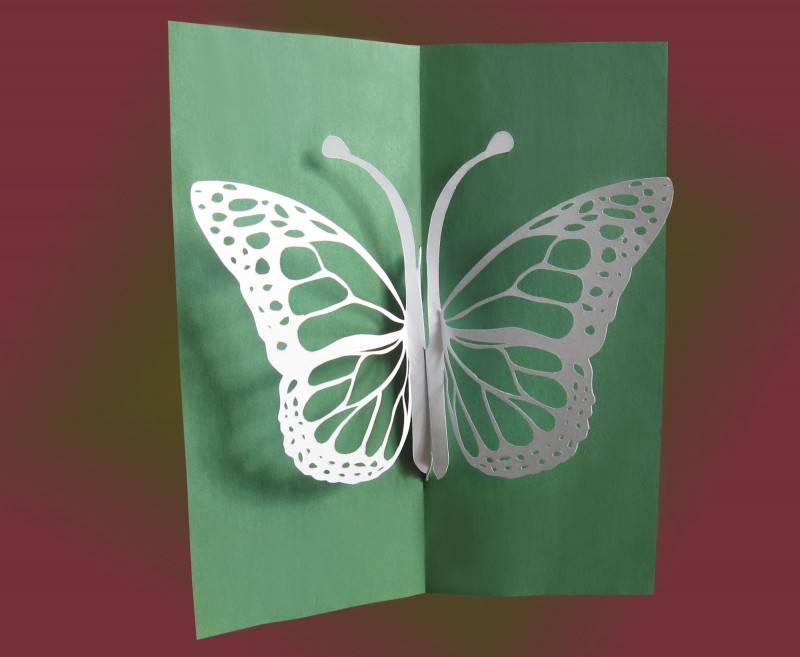 Аппликация бабочка из цветной бумаги - подборка простых и сложных мастер-классов для начинающих с фото примерами
