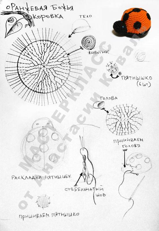 Схема коровка крючком