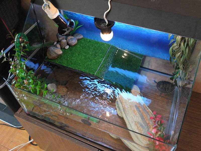 Аквариум из оргстекла своими руками: инструкция как сделать домик для рыб самостоятельно