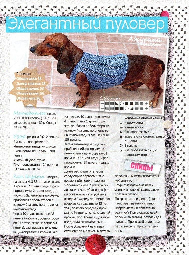 Вязаная одежда для маленьких собак — схемы крючком